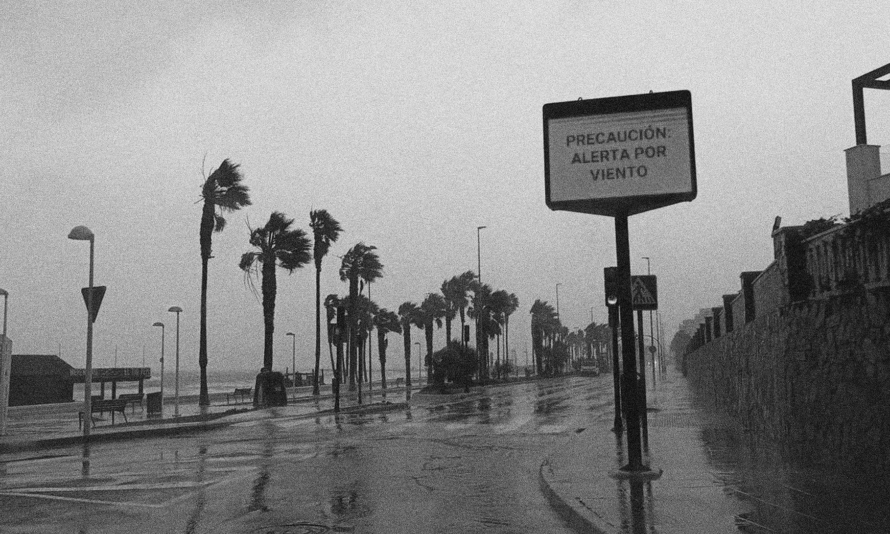 Javier R Pérez-Curiel